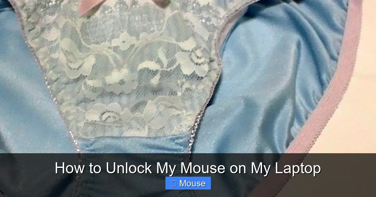 How to Unlock My Mouse on My Laptop