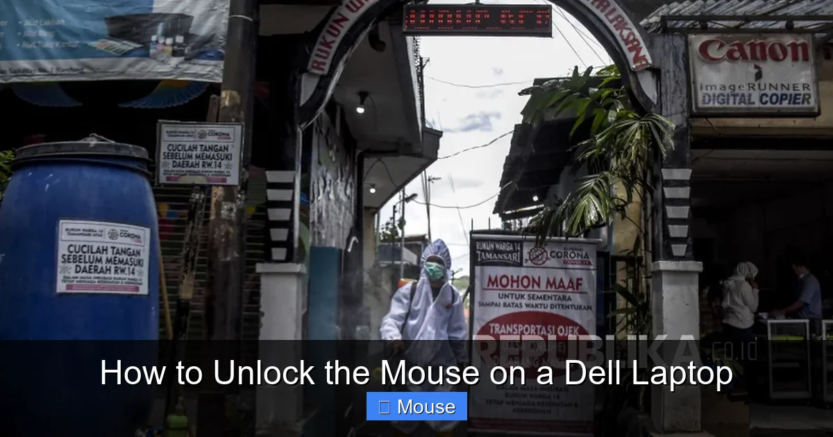 How to Unlock the Mouse on a Dell Laptop