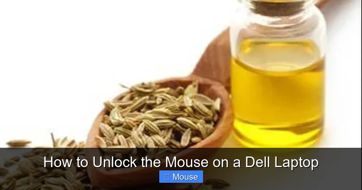 How to Unlock the Mouse on a Dell Laptop