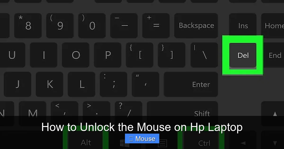 How to Unlock the Mouse on Hp Laptop