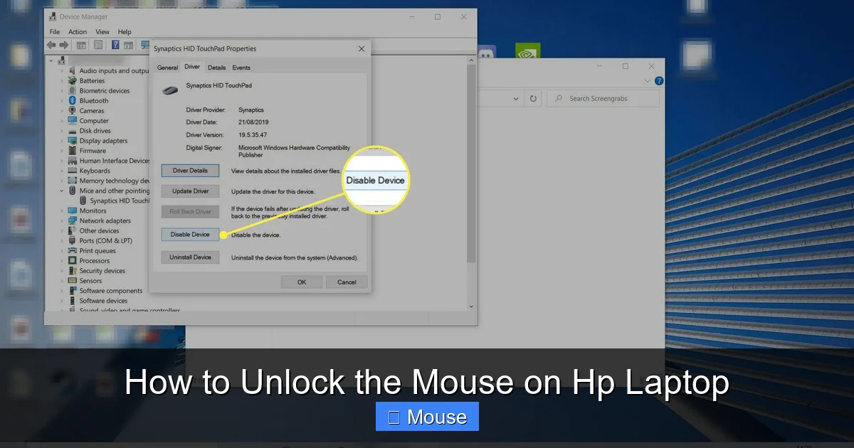 How to Unlock the Mouse on Hp Laptop