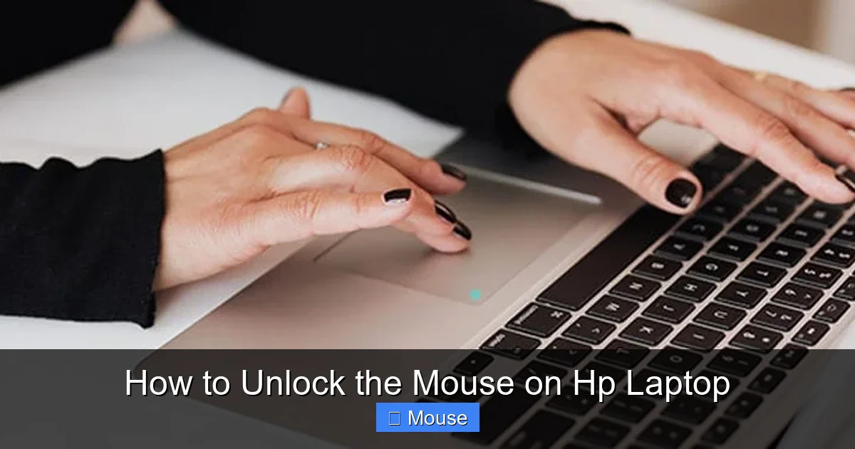 How to Unlock the Mouse on Hp Laptop