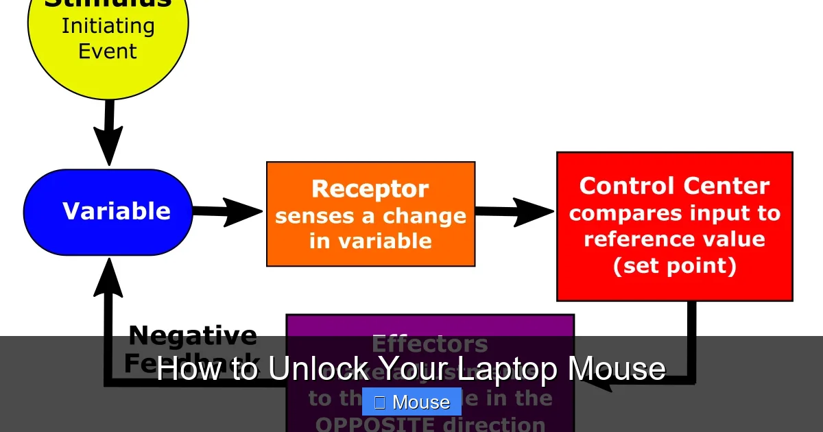 How to Unlock Your Laptop Mouse