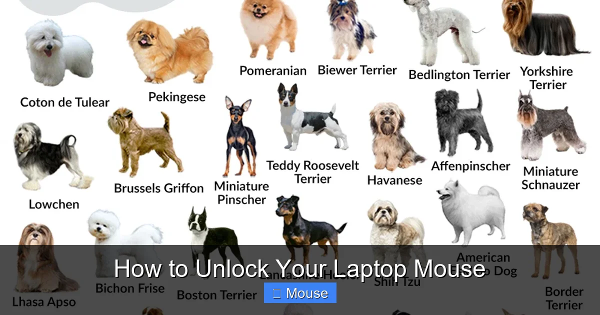 How to Unlock Your Laptop Mouse