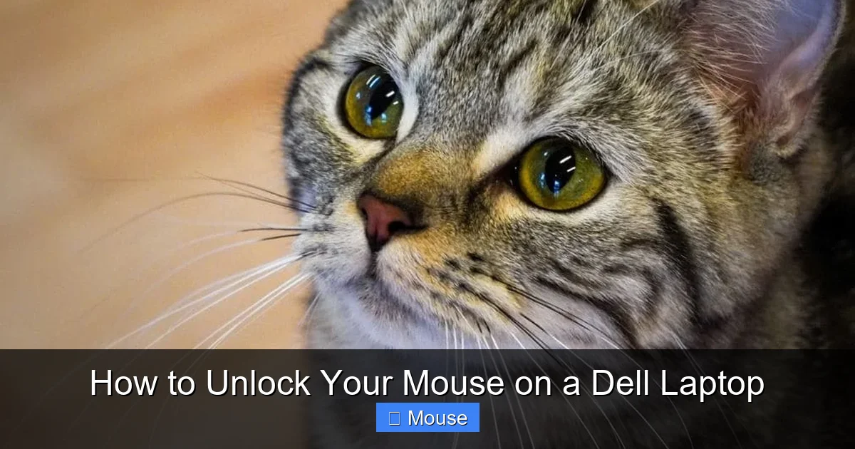 How to Unlock Your Mouse on a Dell Laptop
