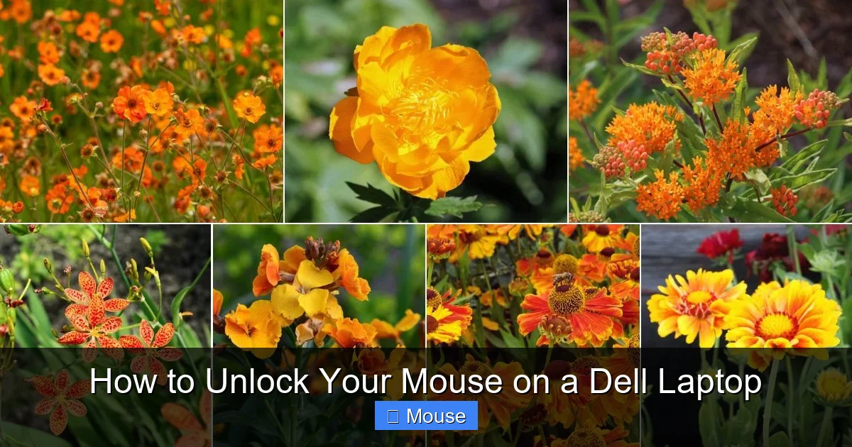 How to Unlock Your Mouse on a Dell Laptop