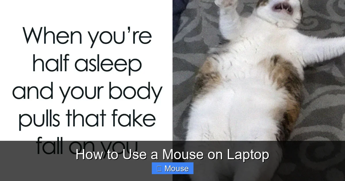 How to Use a Mouse on Laptop