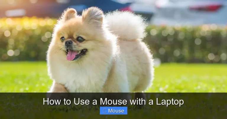 How to Use a Mouse with a Laptop