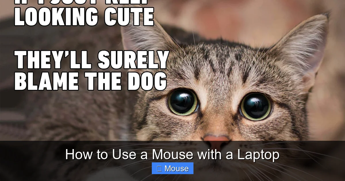 How to Use a Mouse with a Laptop