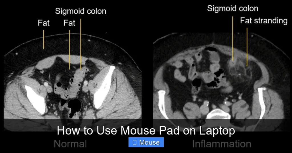 How to Use Mouse Pad on Laptop