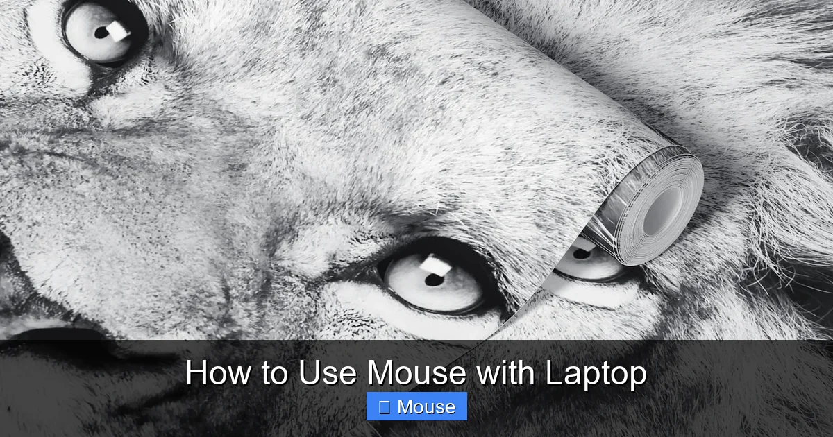 How to Use Mouse with Laptop