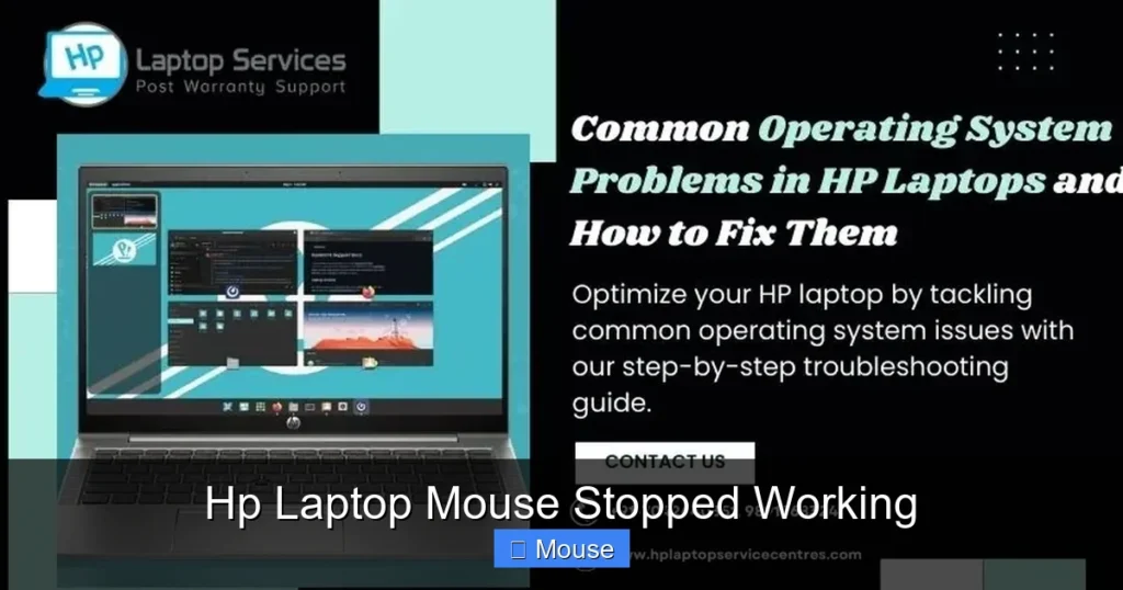 Hp Laptop Mouse Stopped Working