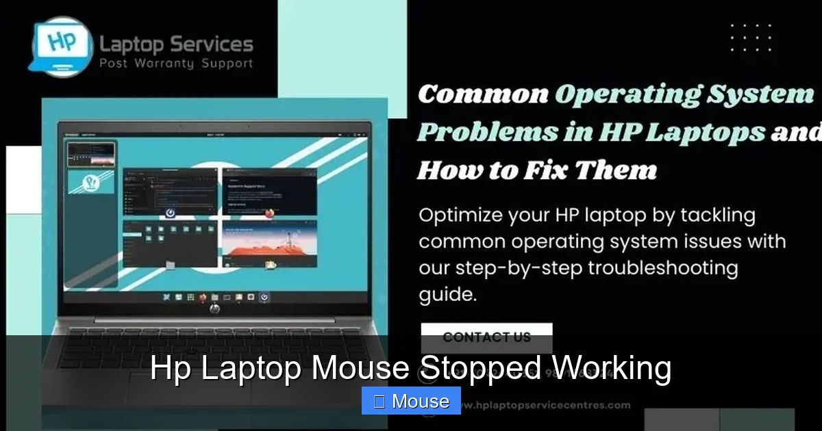 Hp Laptop Mouse Stopped Working