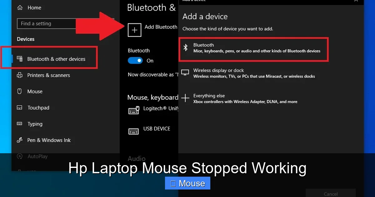 Hp Laptop Mouse Stopped Working