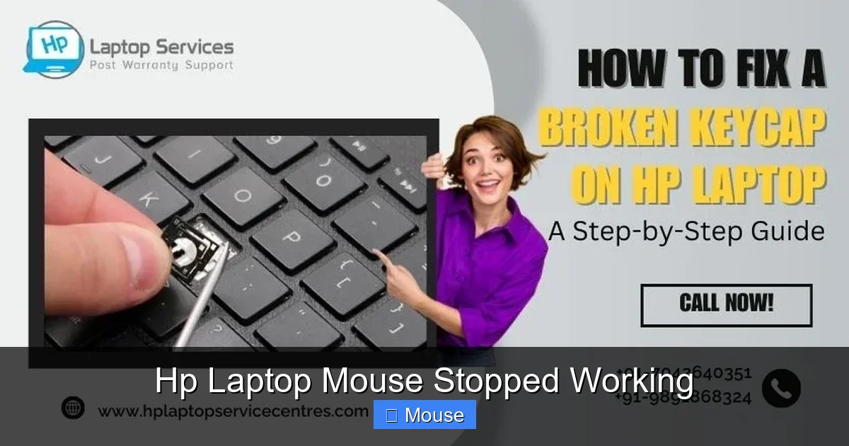Hp Laptop Mouse Stopped Working