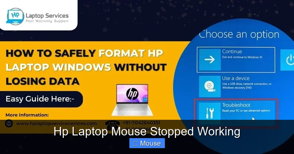 Hp Laptop Mouse Stopped Working