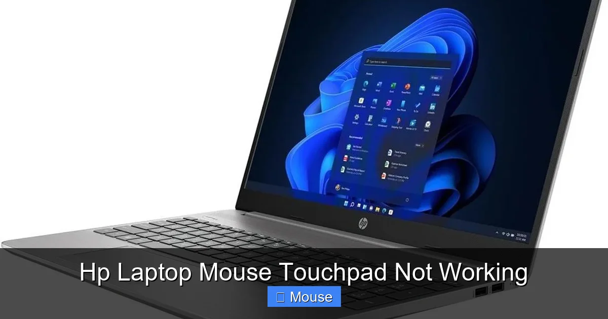 Hp Laptop Mouse Touchpad Not Working