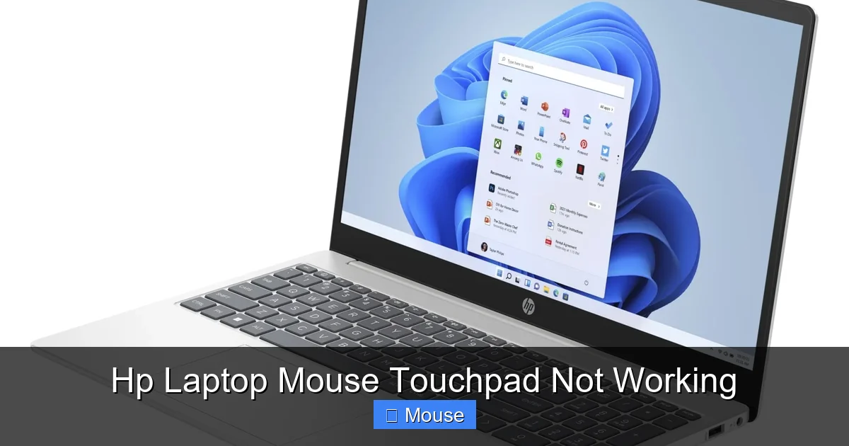 Hp Laptop Mouse Touchpad Not Working
