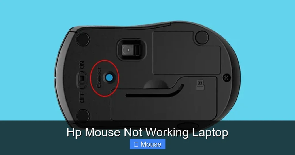 Hp Mouse Not Working Laptop