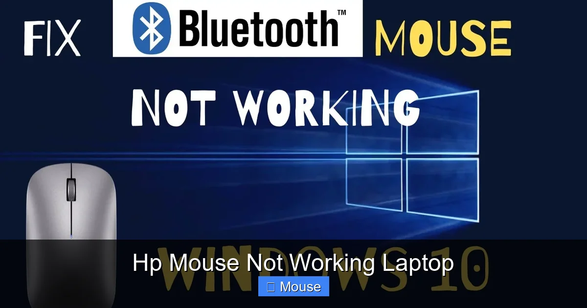 Hp Mouse Not Working Laptop
