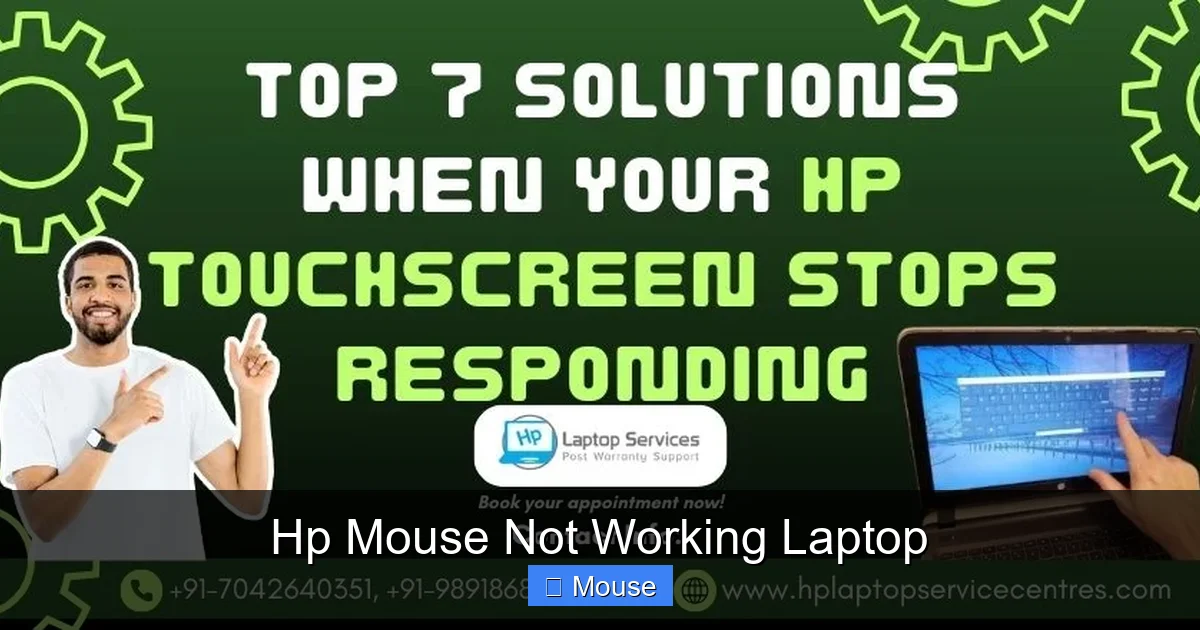 Hp Mouse Not Working Laptop