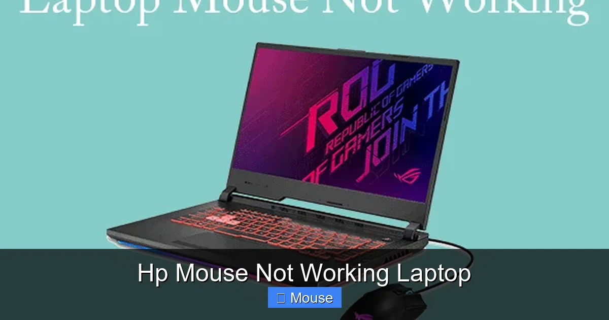 Hp Mouse Not Working Laptop