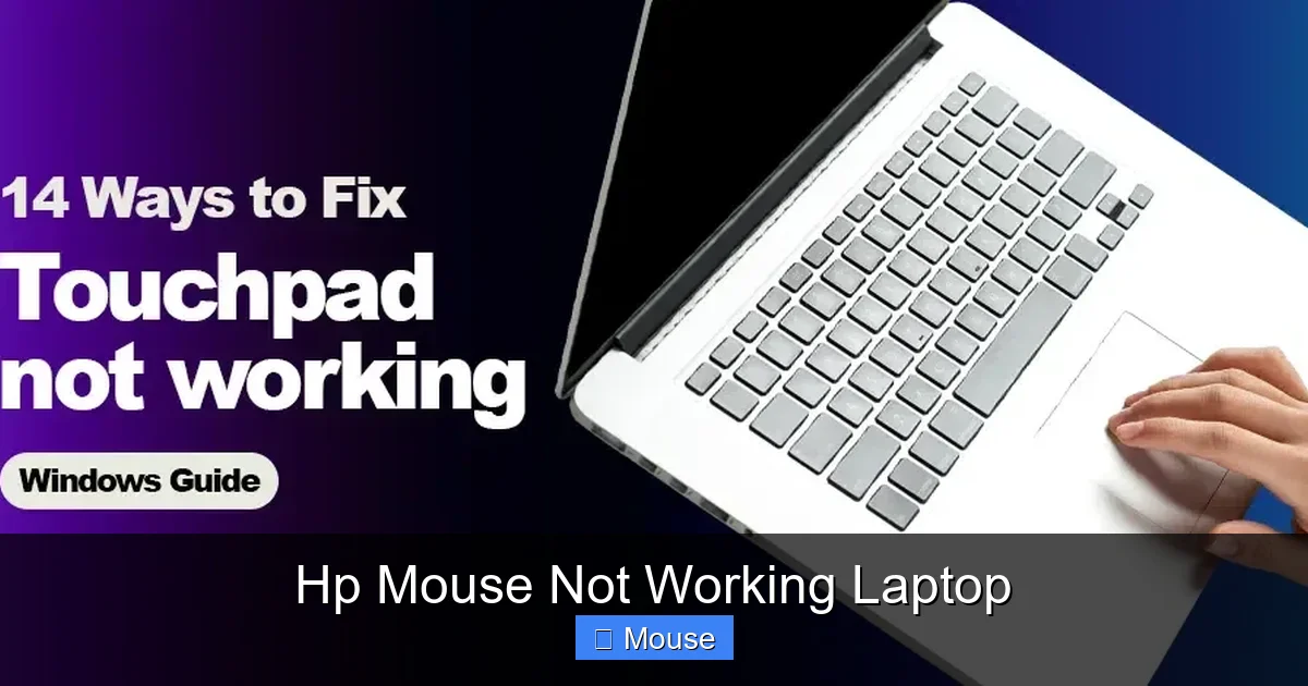 Hp Mouse Not Working Laptop