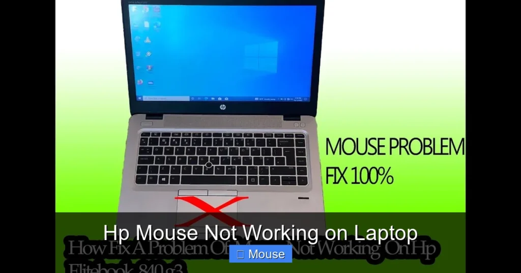 Hp Mouse Not Working on Laptop