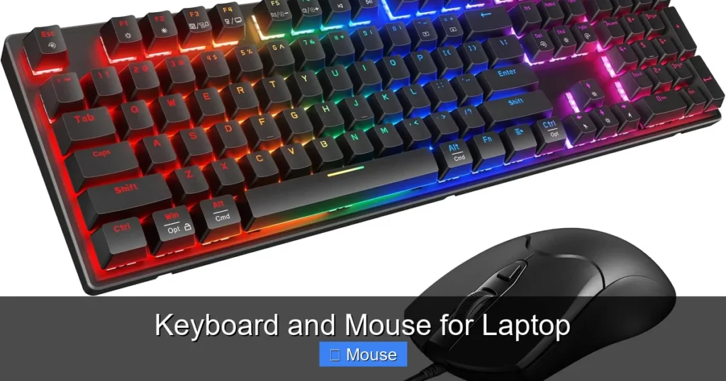 Keyboard and Mouse for Laptop