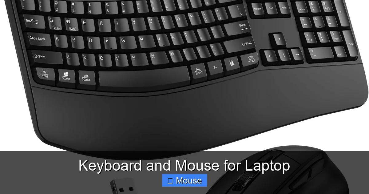 Keyboard and Mouse for Laptop