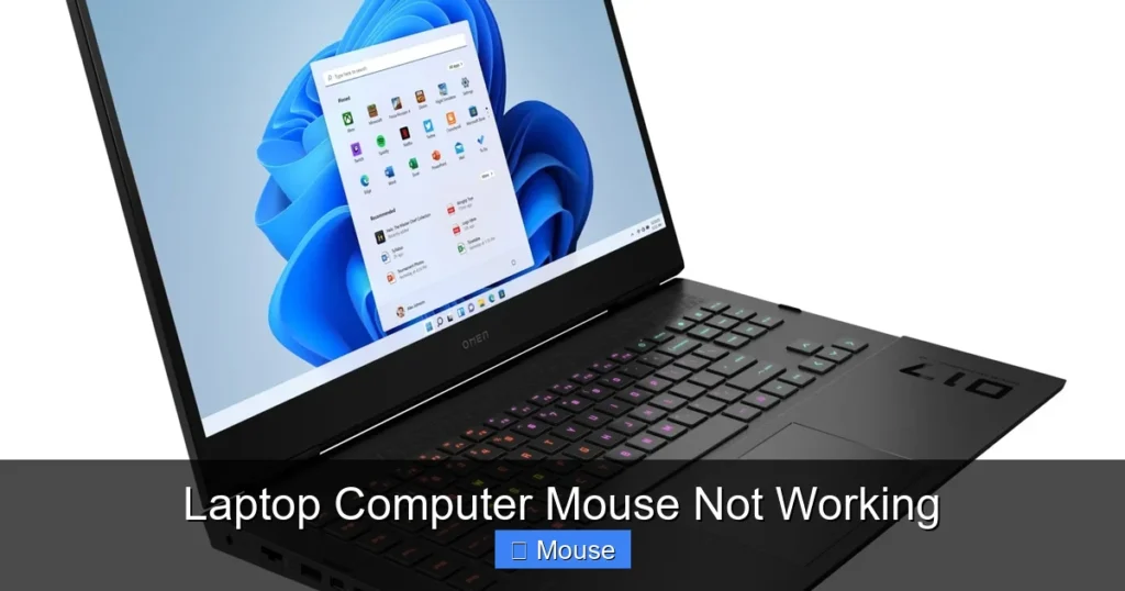 Laptop Computer Mouse Not Working