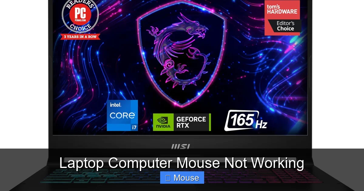 Laptop Computer Mouse Not Working
