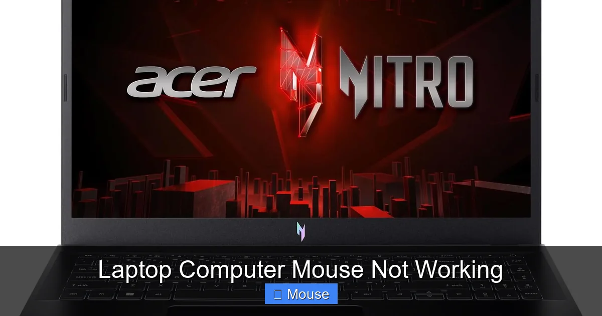 Laptop Computer Mouse Not Working
