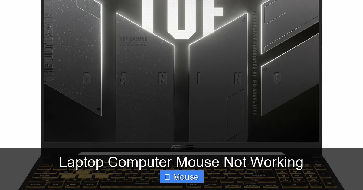 Laptop Computer Mouse Not Working