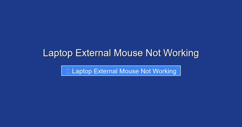 Laptop External Mouse Not Working
