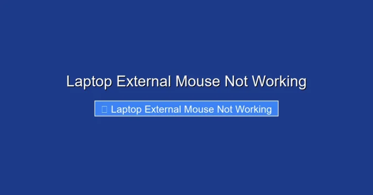 Laptop External Mouse Not Working