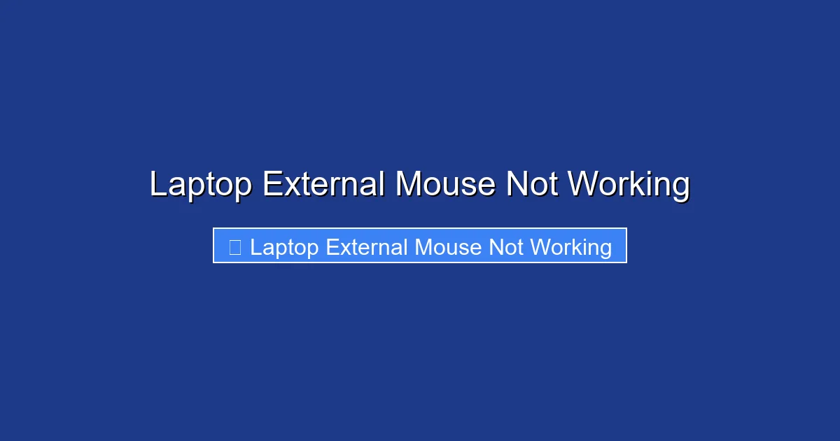 Laptop External Mouse Not Working
