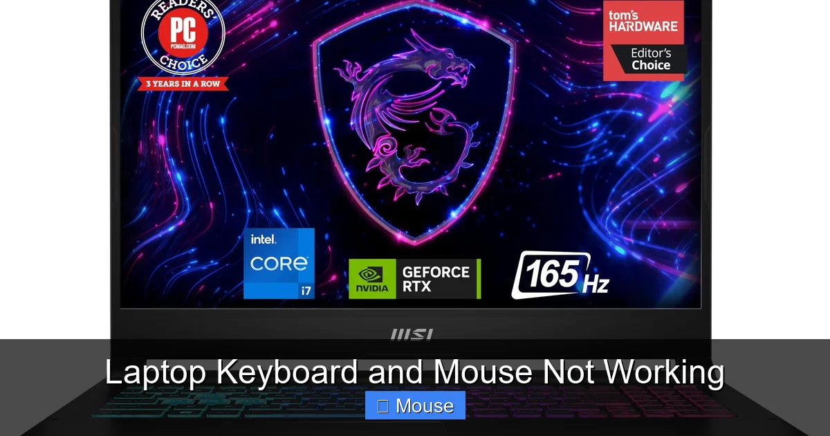 Laptop Keyboard and Mouse Not Working