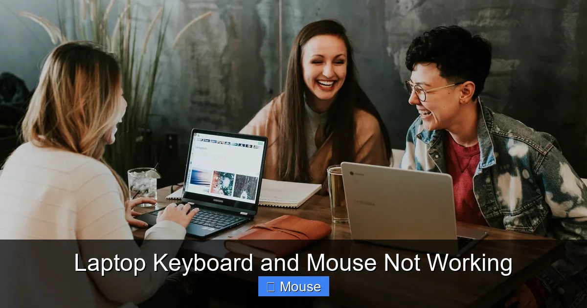 Laptop Keyboard and Mouse Not Working