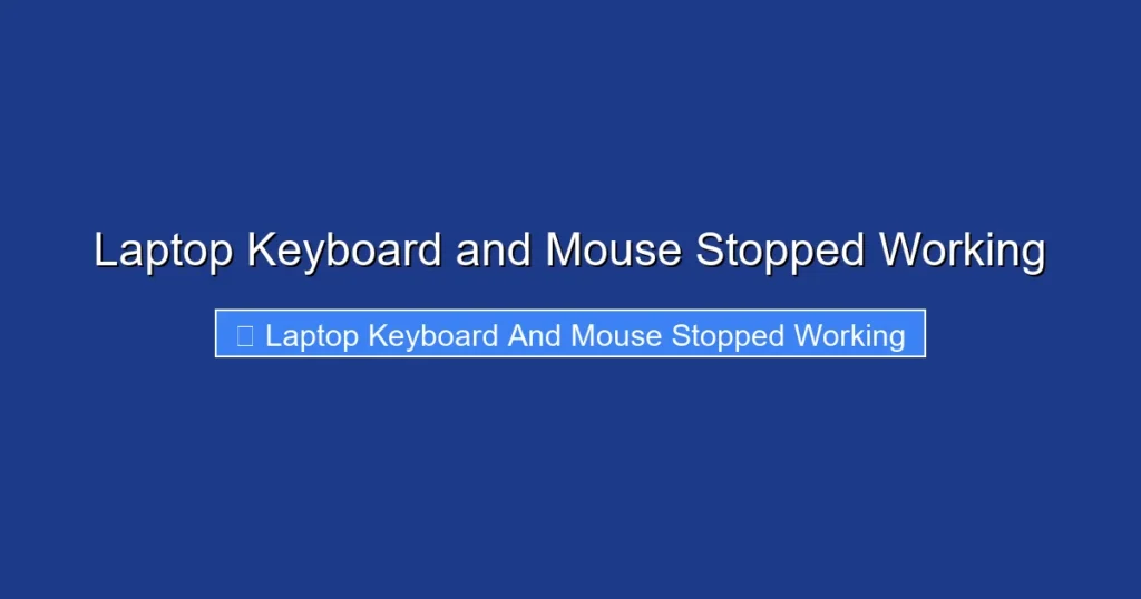 Laptop Keyboard and Mouse Stopped Working