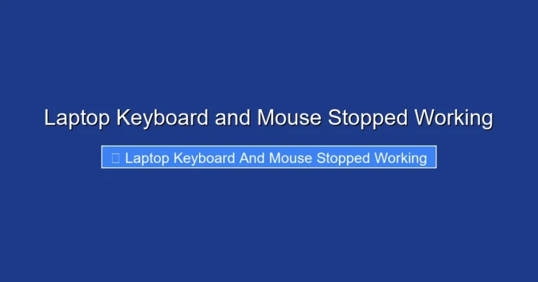Laptop Keyboard and Mouse Stopped Working