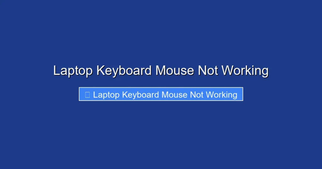 Laptop Keyboard Mouse Not Working