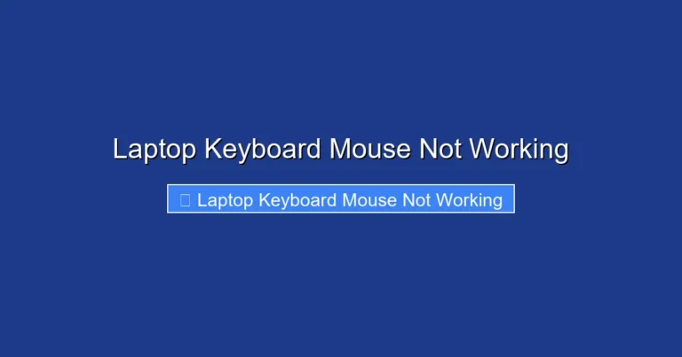 Laptop Keyboard Mouse Not Working