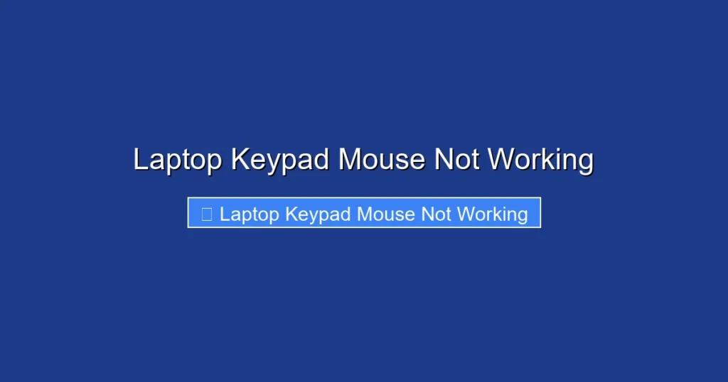 Laptop Keypad Mouse Not Working