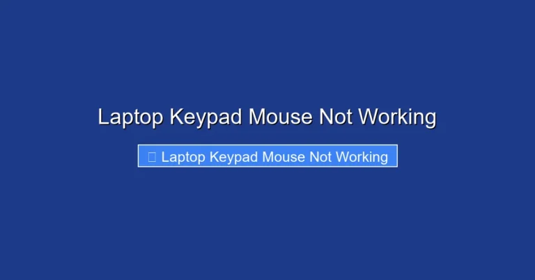 Laptop Keypad Mouse Not Working