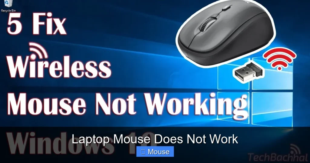 Laptop Mouse Does Not Work