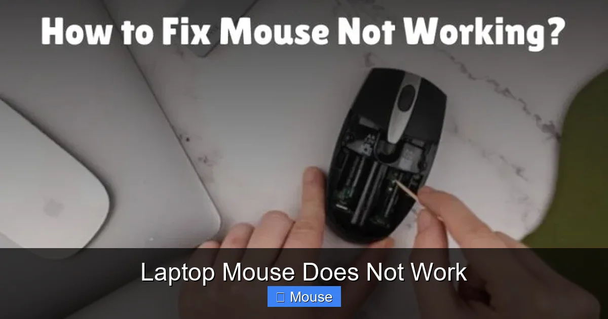 Laptop Mouse Does Not Work