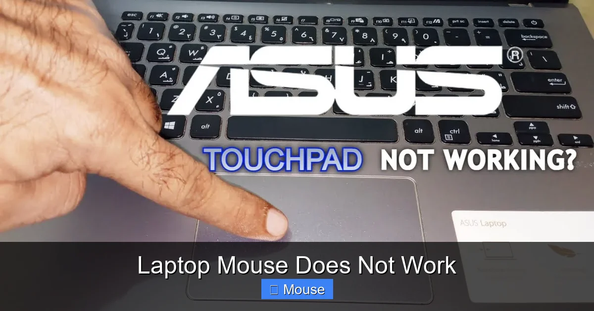Laptop Mouse Does Not Work