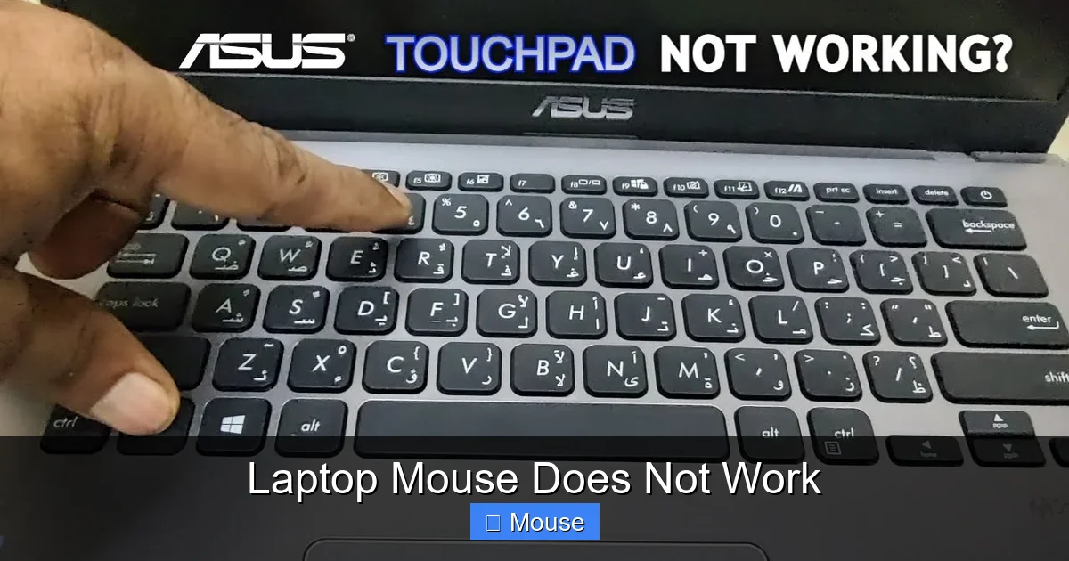 Laptop Mouse Does Not Work
