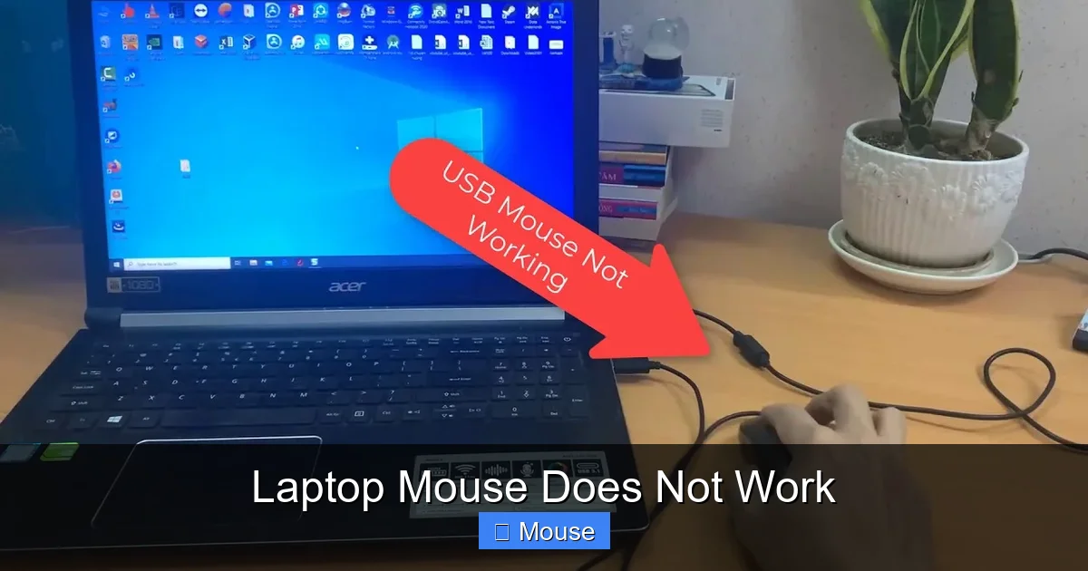 Laptop Mouse Does Not Work
